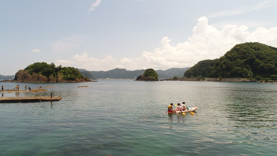 海