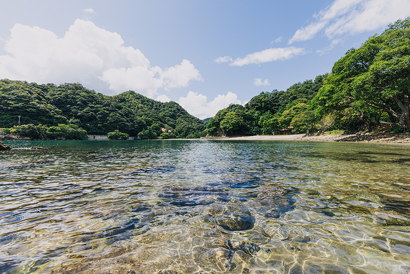 海辺の朝日