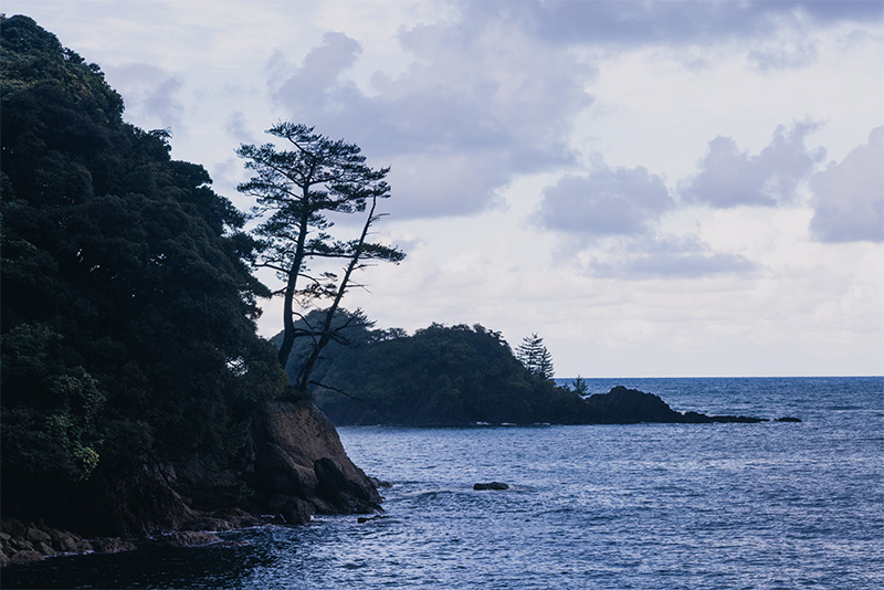 海