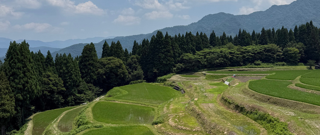 静かな山里